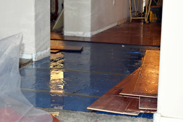 Professional Water Damage Restoration technician working in Decatur, AR
